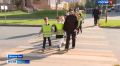 Правила дорожного движения напоминают школьникам в Марий Эл