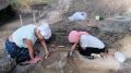 Древнюю стоянку в Марий Эл признали памятником федерального значения