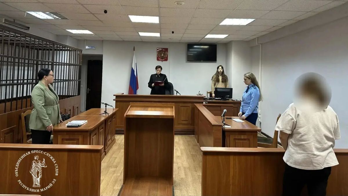 Жительнице Йошкар-Олы дали условный срок за один удар ножом