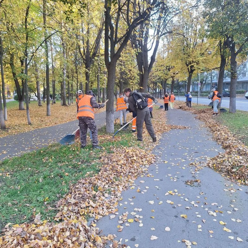 Осенняя уборка городских территорий Осенняя уборка городских территорий