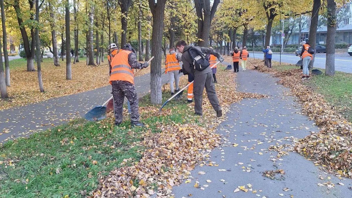 Йошкар-Олу освободили от 18 кубометров листвы