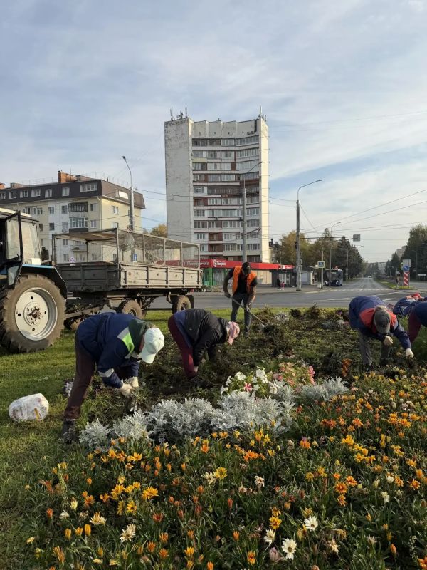 Осенняя уборка городских территорий Осенняя уборка городских территорий