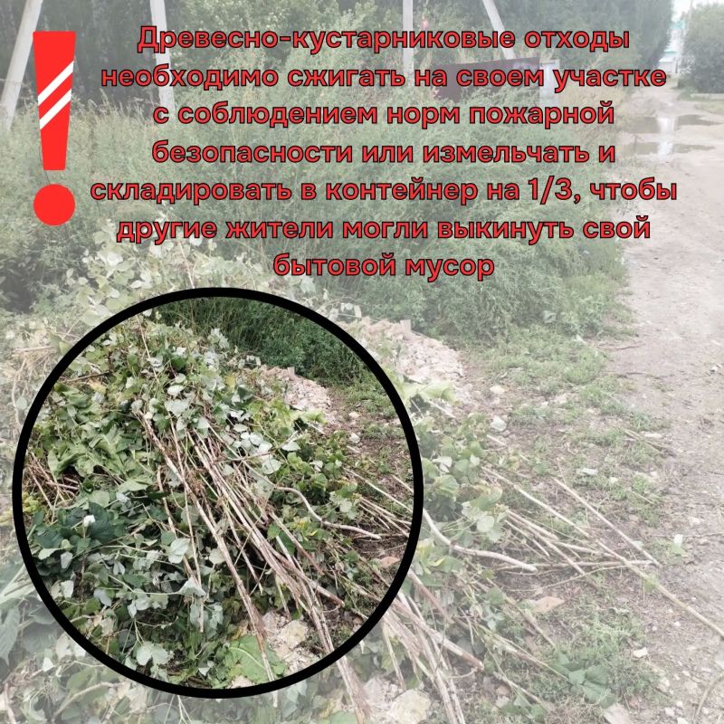 Всё, что жители складируют за пределами контейнерной площадки, является несанкционированной свалкой Всё, что жители складируют за пределами контейнерной площадки, является несанкционированной свалкой
