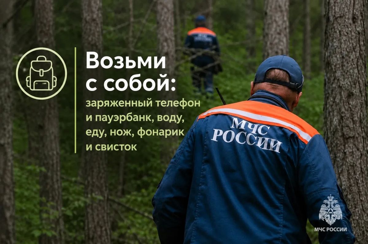 Безопасный поход в лес. В карточках МЧС России ты найдешь полезные советы, которые нужно знать до похода в лес Безопасный поход в лес. В карточках МЧС России ты найдешь полезные советы, которые нужно знать до похода в лес