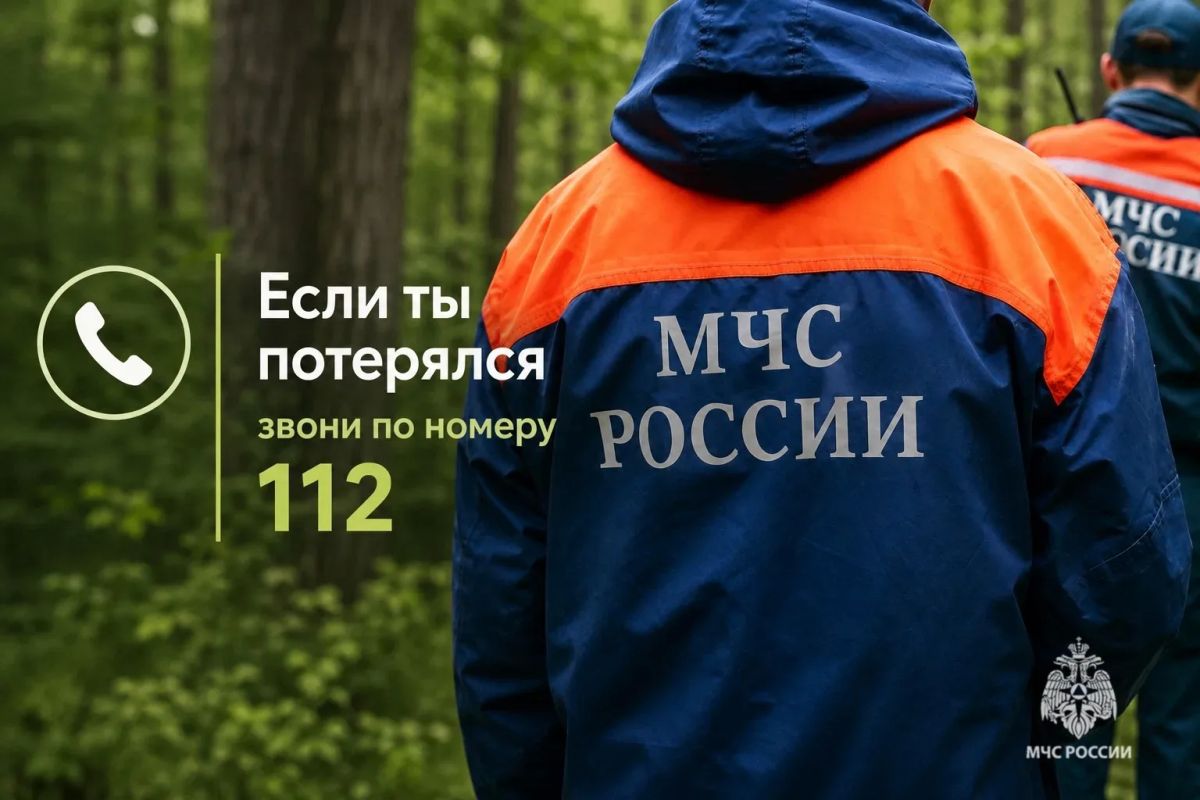 Безопасный поход в лес. В карточках МЧС России ты найдешь полезные советы, которые нужно знать до похода в лес Безопасный поход в лес. В карточках МЧС России ты найдешь полезные советы, которые нужно знать до похода в лес