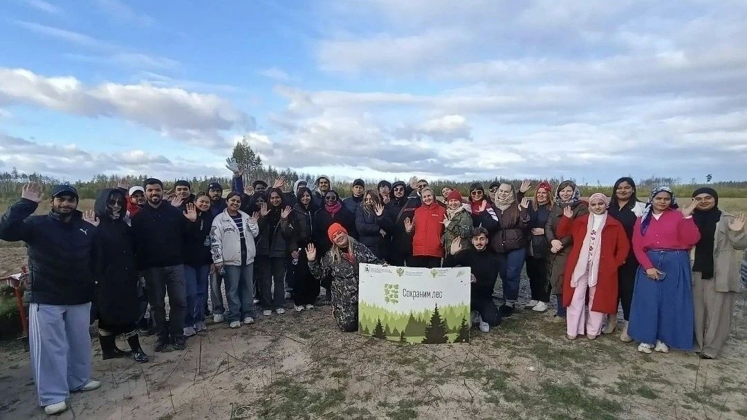 В Марий Эл высадили 300 тысяч деревьев