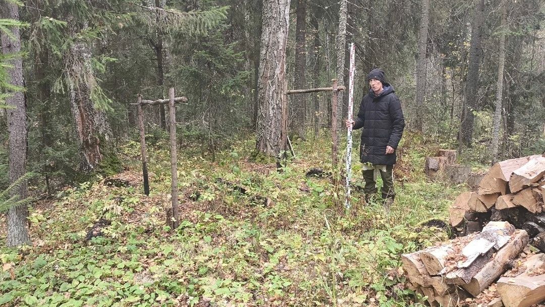 В Оршанском районе началась экспедиция по священным рощам