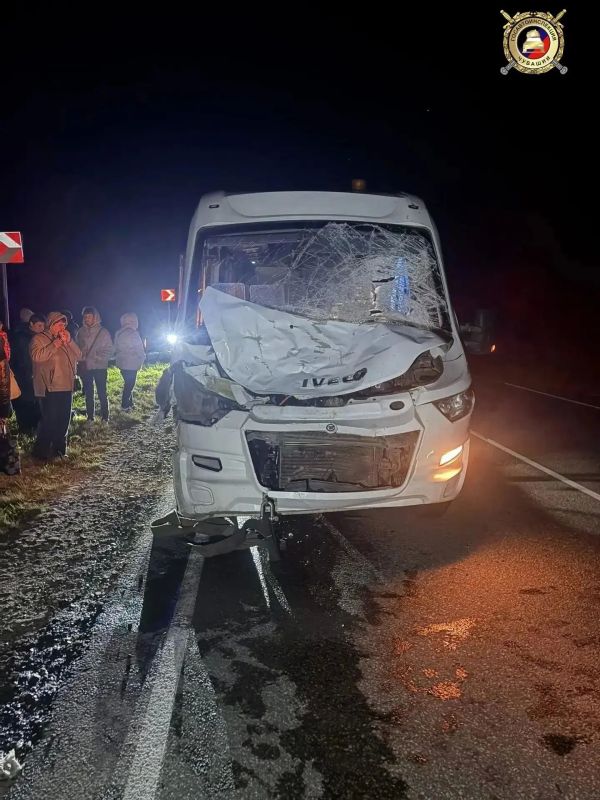 Туристический автобус из Марий Эл вчера, 11 октября, сбил лося в Красноармейском округе Чувашии