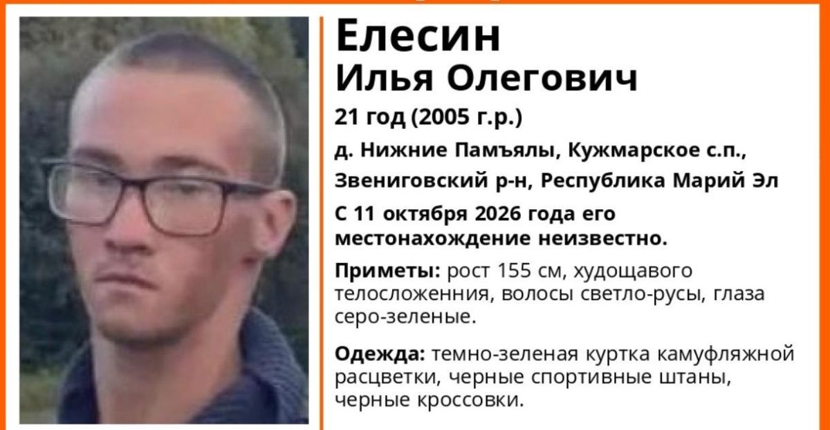 В Звениговском районе ищут 21-летнего парня в камуфляжной куртке