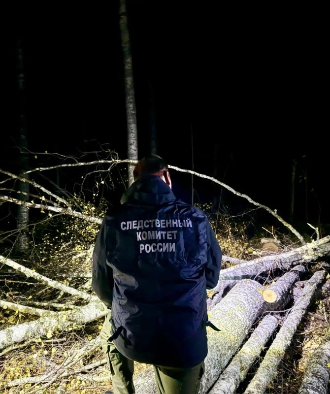 В Республике Марий Эл проводится проверка по факту гибели мужчины