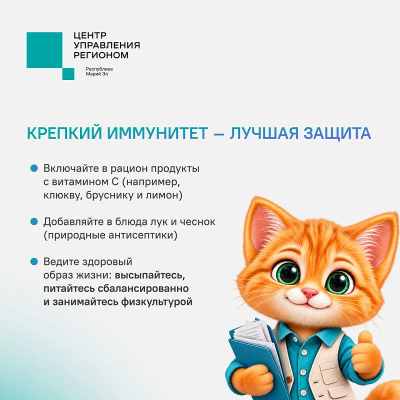 С приходом холодов вирусы становятся активнее С приходом холодов вирусы становятся активнее