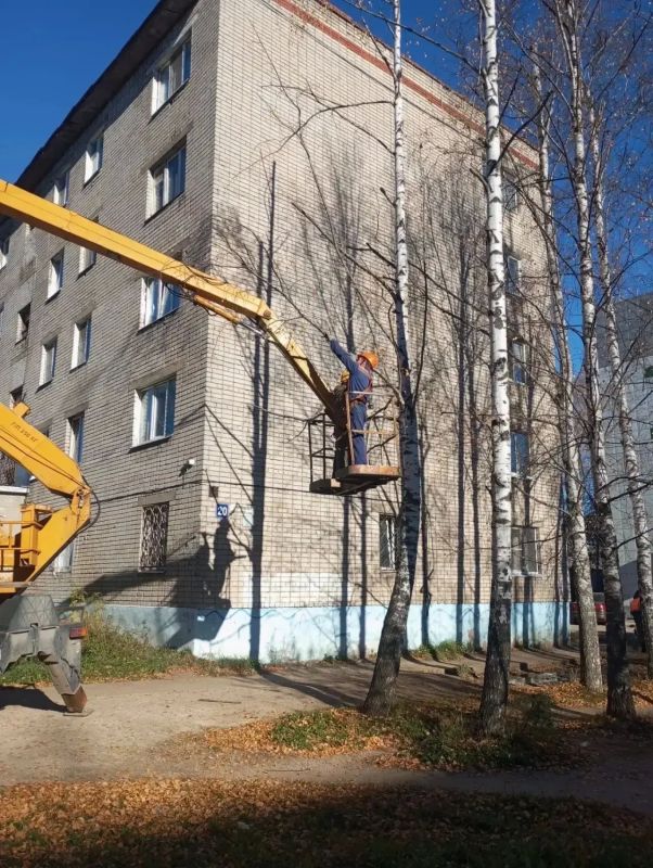 Осенние заботы с прицелом на предстоящую зиму Осенние заботы с прицелом на предстоящую зиму