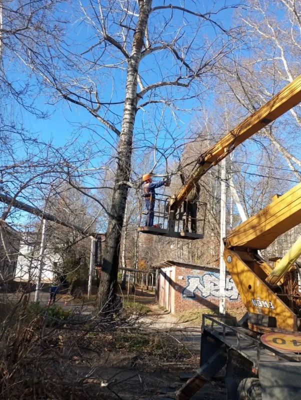 Осенние заботы с прицелом на предстоящую зиму Осенние заботы с прицелом на предстоящую зиму