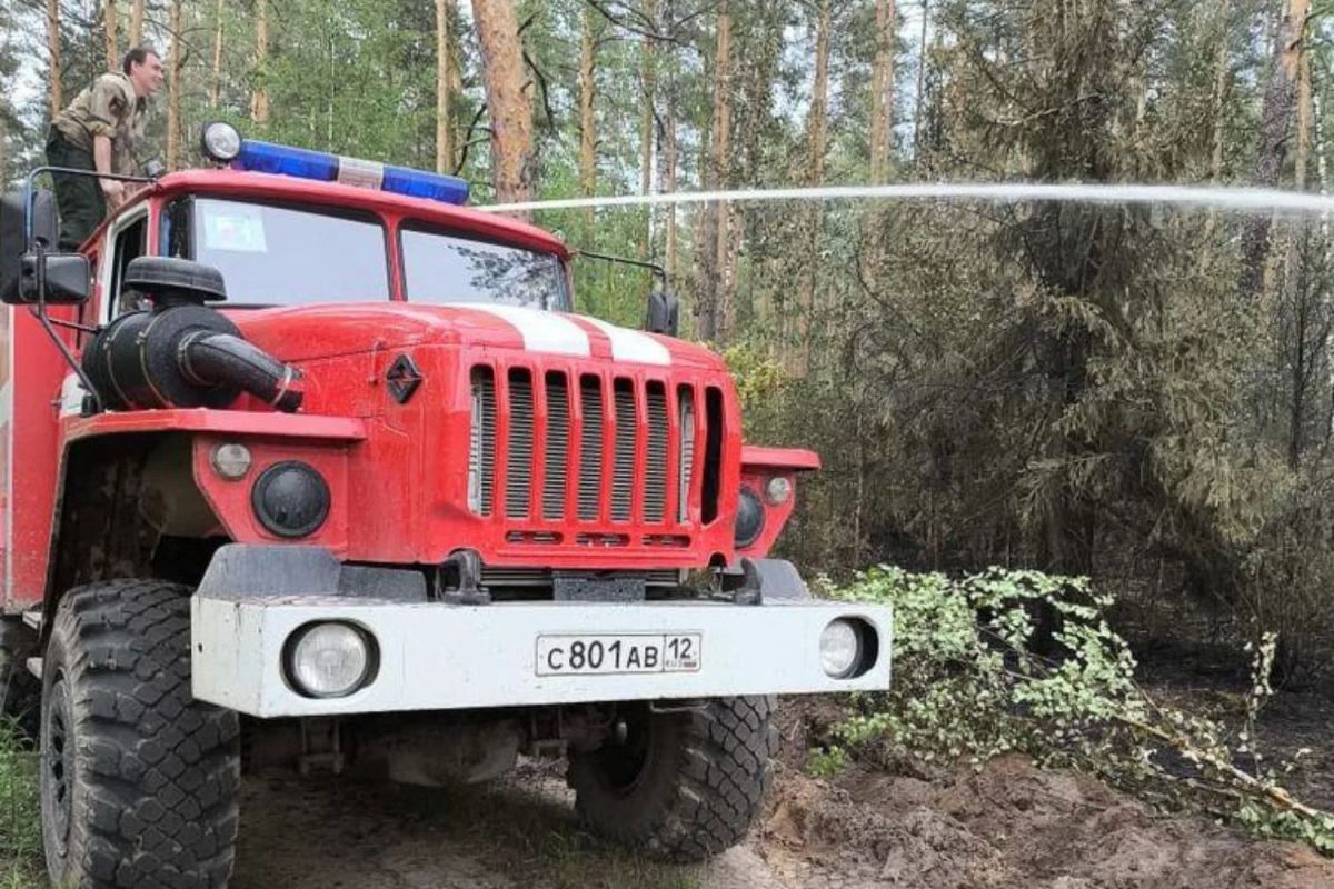 В лесах Марий Эл пожароопасный сезон официально закрыт