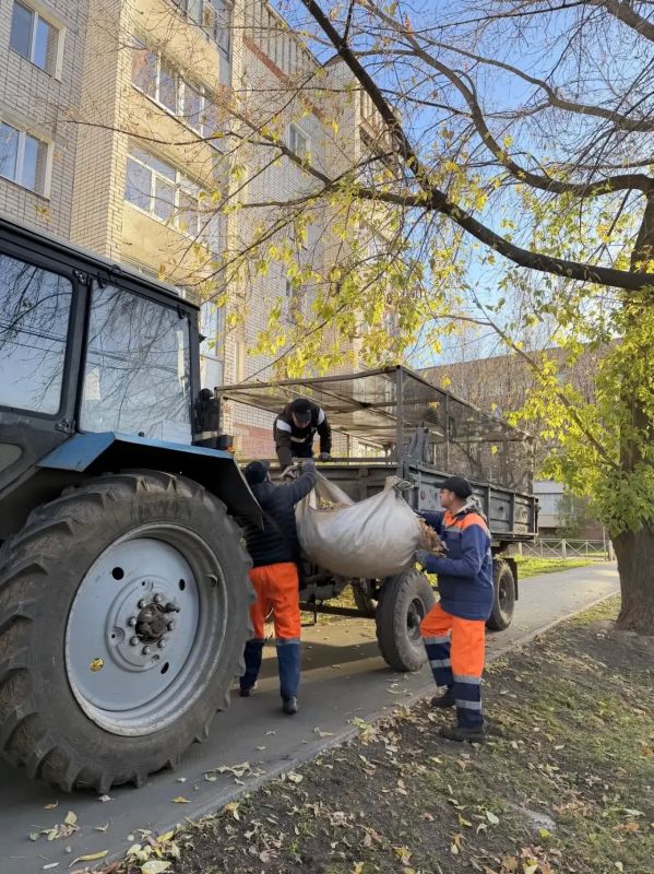 Осенние заботы с прицелом на предстоящую зиму Осенние заботы с прицелом на предстоящую зиму