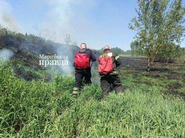 В Марий Эл официально закрыт пожароопасный сезон