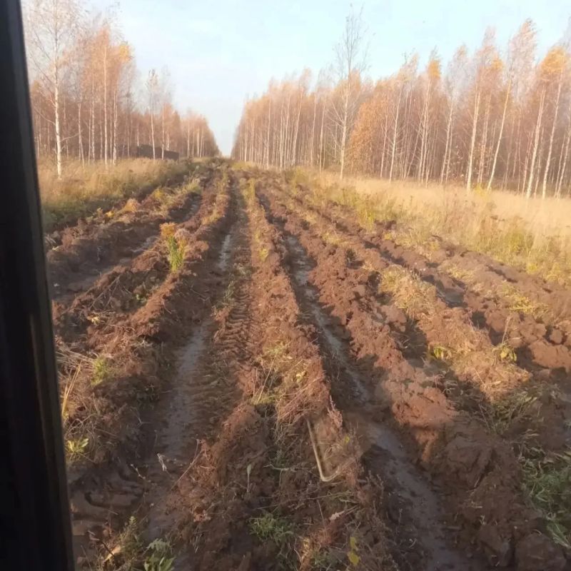 В городском округе "Город Йошкар-Ола" обновляют «щит» от ландшафтных пожаров В городском округе "Город Йошкар-Ола" обновляют «щит» от ландшафтных пожаров