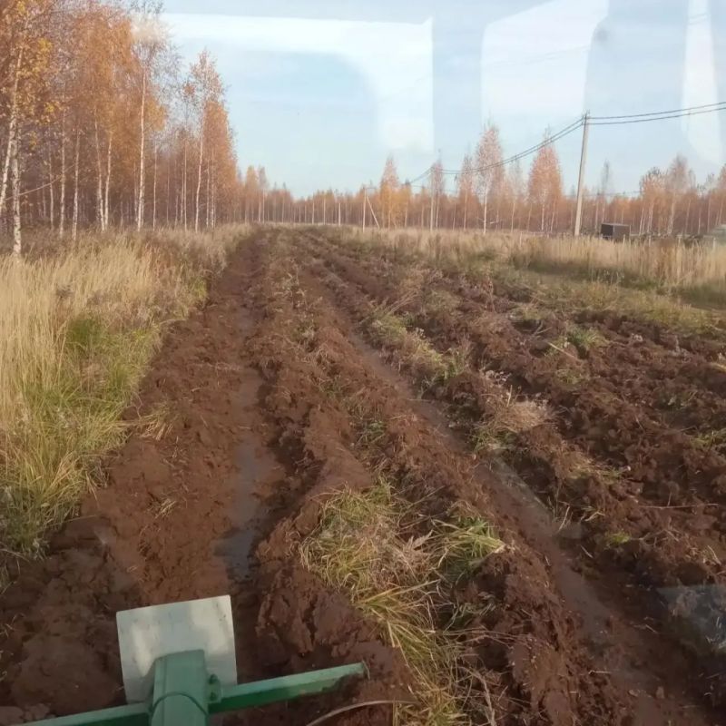 В городском округе "Город Йошкар-Ола" обновляют «щит» от ландшафтных пожаров В городском округе "Город Йошкар-Ола" обновляют «щит» от ландшафтных пожаров