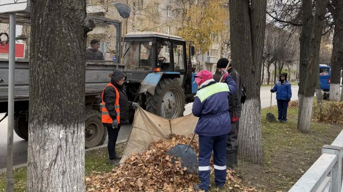 За осенний сезон в Йошкар-Оле уже убрали 800 кубометров листвы