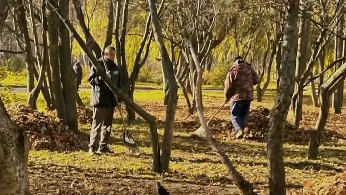 Шелест листьев под ногами — это настоящее волшебство, когда ты гуляешь по парку в свой выходной