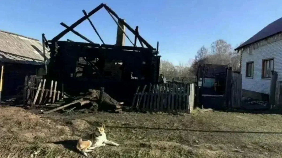 В Параньгинском районе на пожаре погибла 27-летняя девушка