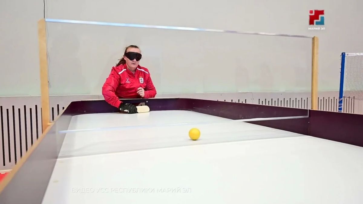 Вопросы развития адаптивного спорта в Марий Эл обсудят на федеральном уровне
