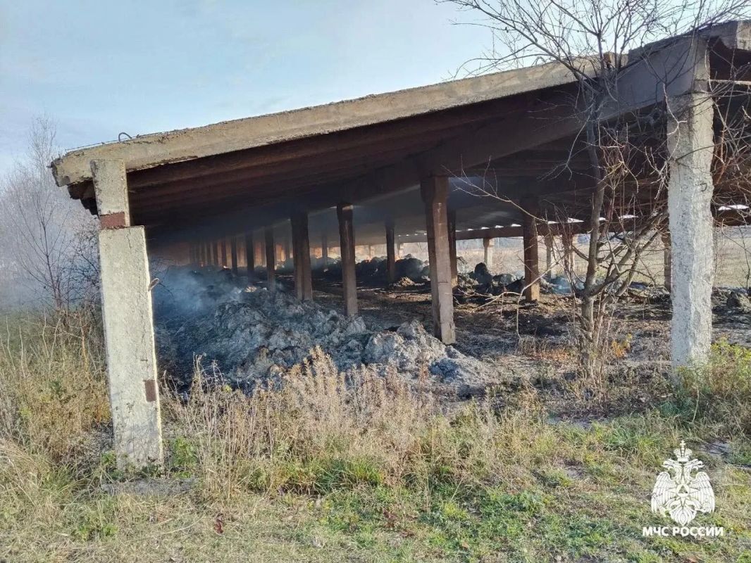 В Мари-Турекском районе сгорело около 400 рулонов сена