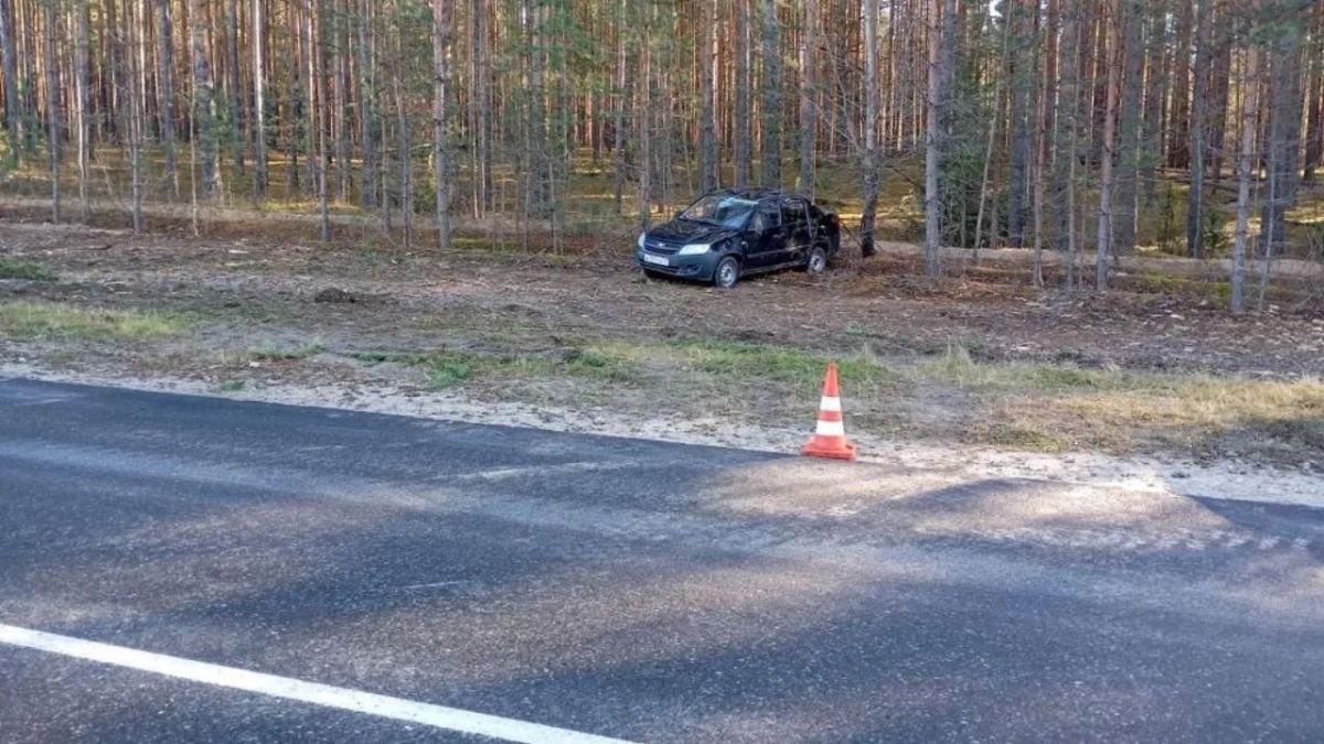 В Звениговском районе на загородной трассе автомобиль перевернулся в кювет