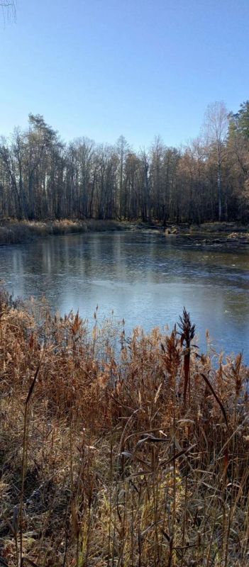 Водоемы Республики Марий Эл начинают покрываться льдом с наступлением устойчивых заморозков