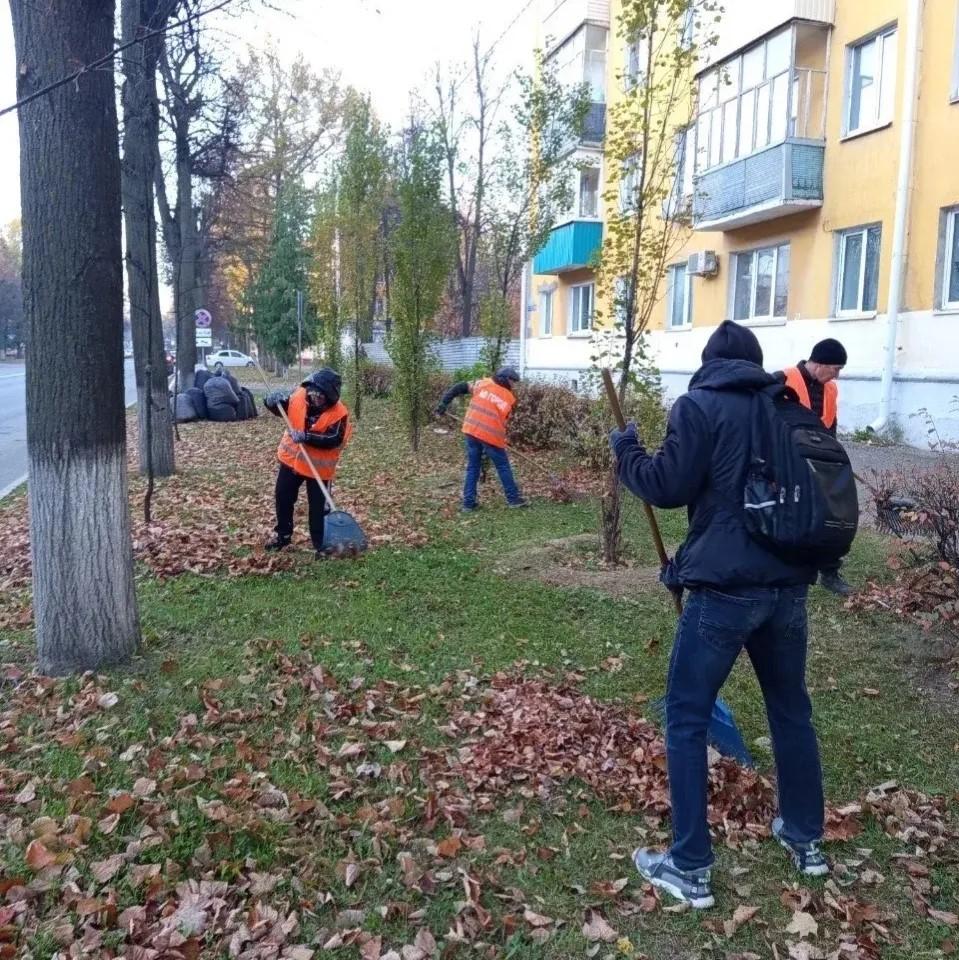 Сегодня в Йошкар-Оле прошел последний этой осенью субботник
